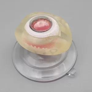 Intravitreal Injection Kit
